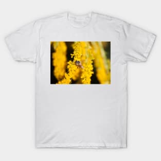 Marigold and Honey II T-Shirt